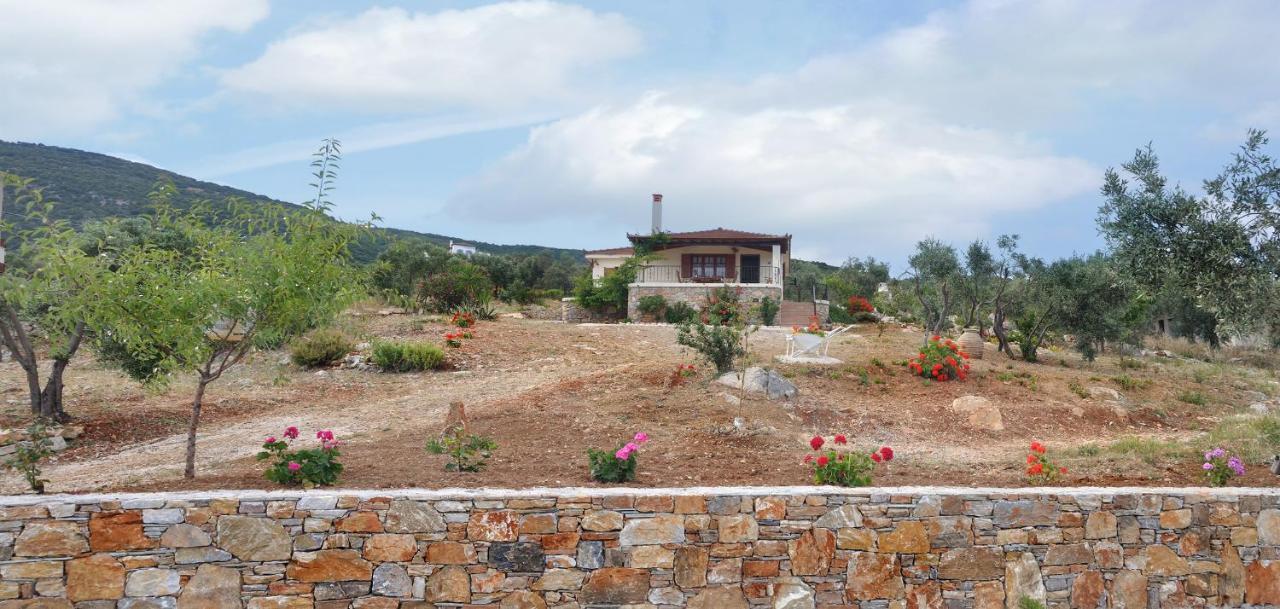 Oceanis - Luxury Seaside Villa